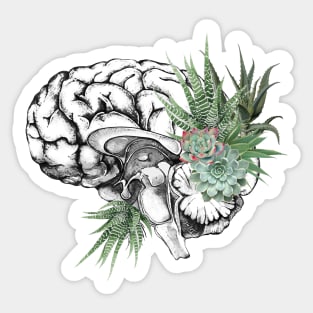 Brain human anatomy,succulents plants aloe cactus, mental Sticker